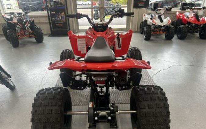 2027 Kayo Storm 300 EFI