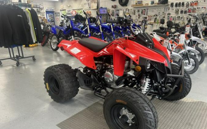 2027 Kayo Storm 300 EFI
