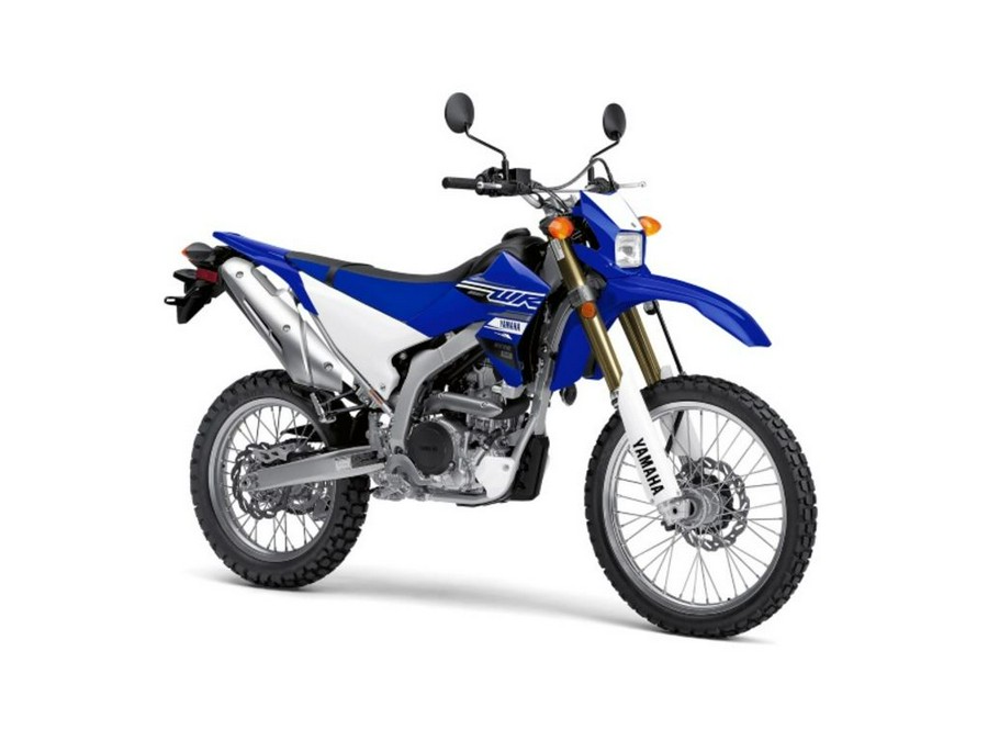 2020 Yamaha WR 250R