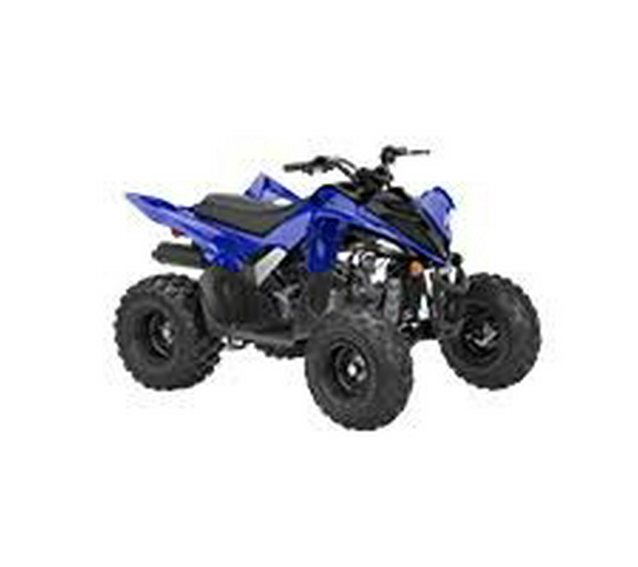 2025 Yamaha Raptor 110