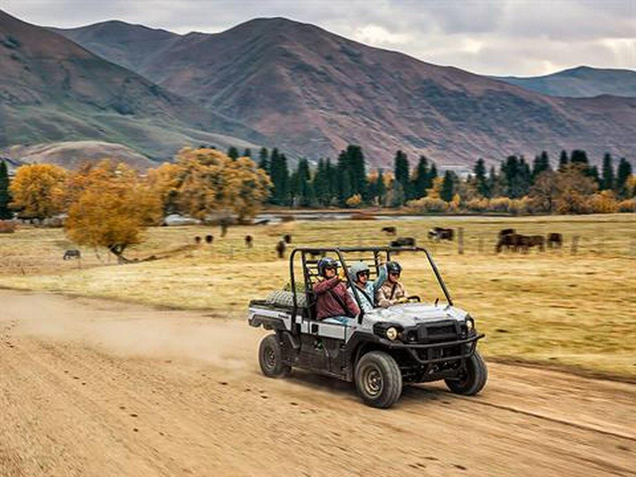 2025 Kawasaki MULE PRO-DX EPS