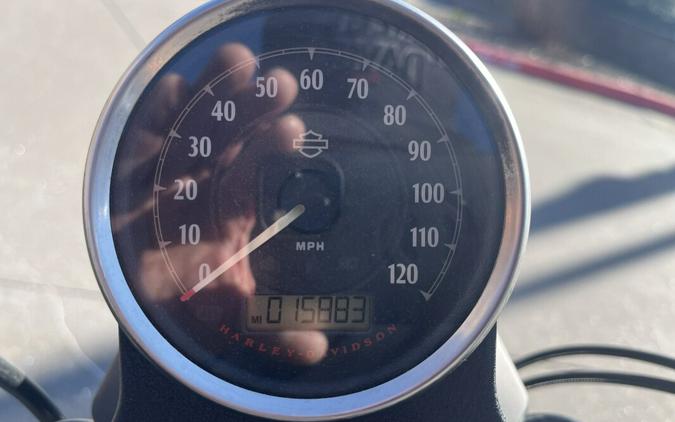 2021 Harley-Davidson® Iron 883™XL 883N Deadwood Green 406717