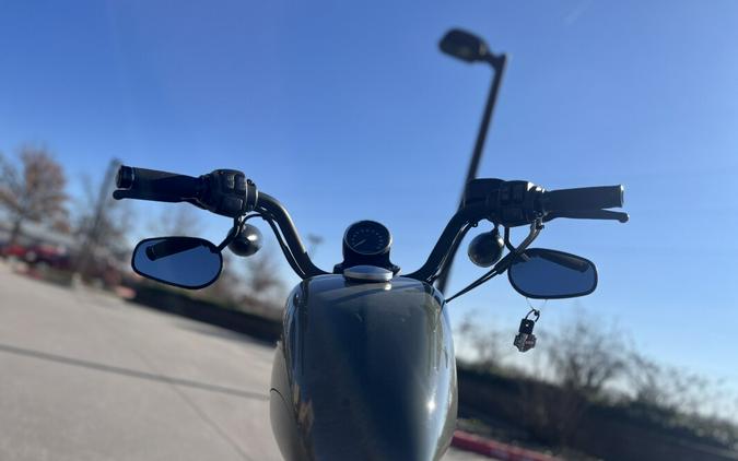 2021 Harley-Davidson® Iron 883™XL 883N Deadwood Green 406717