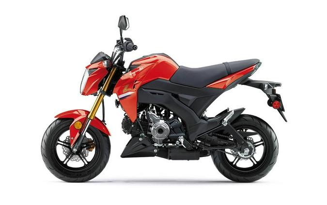 2023 Kawasaki BR125JPFNL