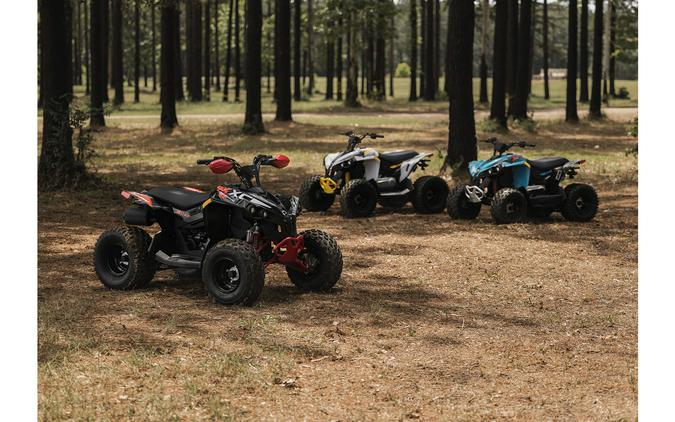 2026 Can-Am Renegade 110 EFI