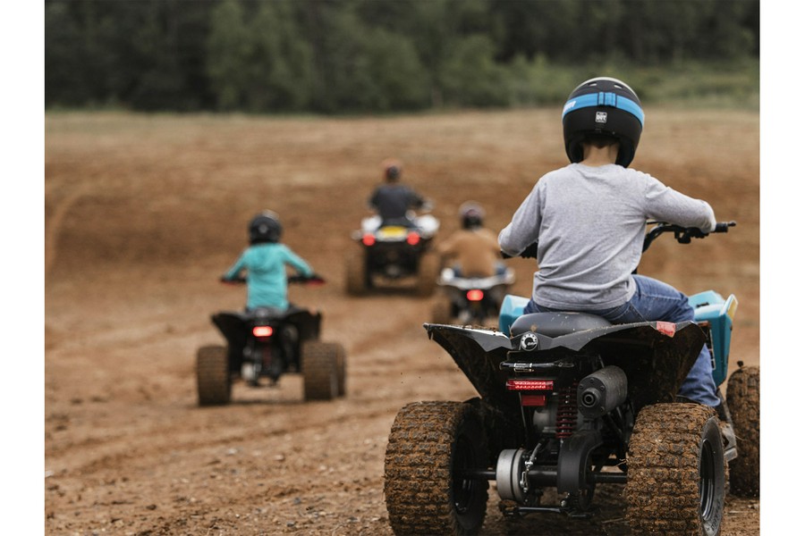 2026 Can-Am Renegade 110 EFI