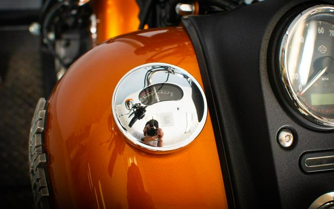 2015 Harley-Davidson Street Bob