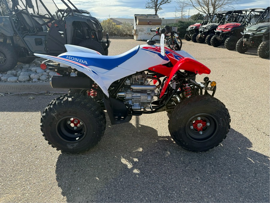 2026 Honda TRX250X