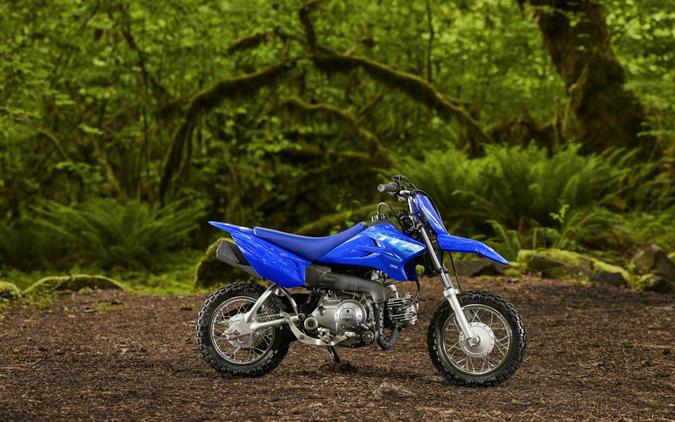 2027 Yamaha TT-R50E