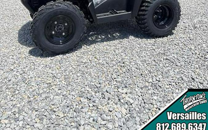 2026 Kawasaki Brute Force® 300