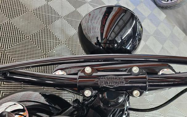 2017 Harley Davidson Flss Slim S 110ci