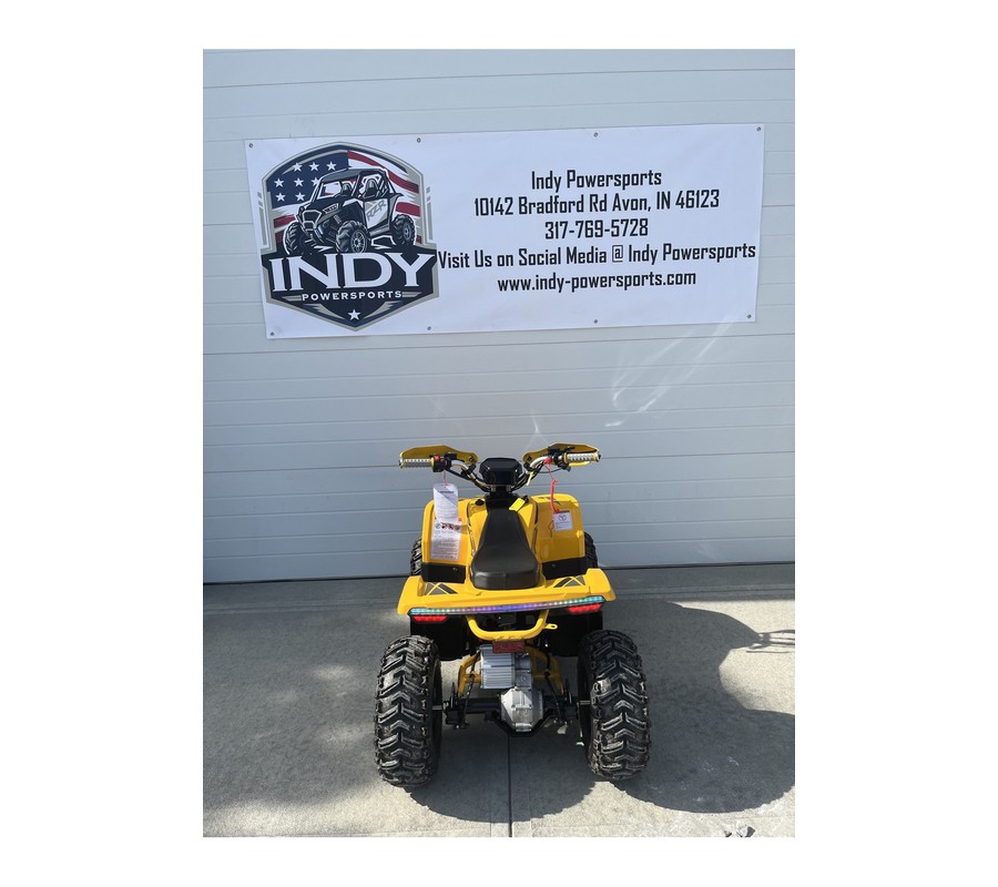 2026 E-Hawk 6 - Denago Powersports