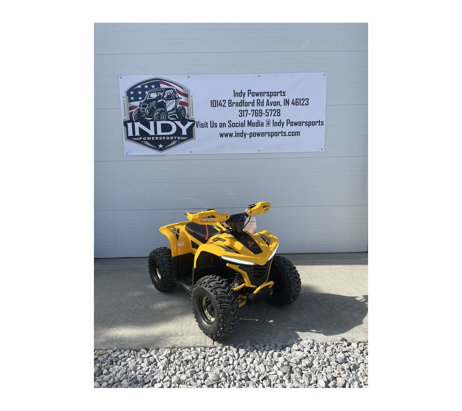 2026 E-Hawk 6 - Denago Powersports