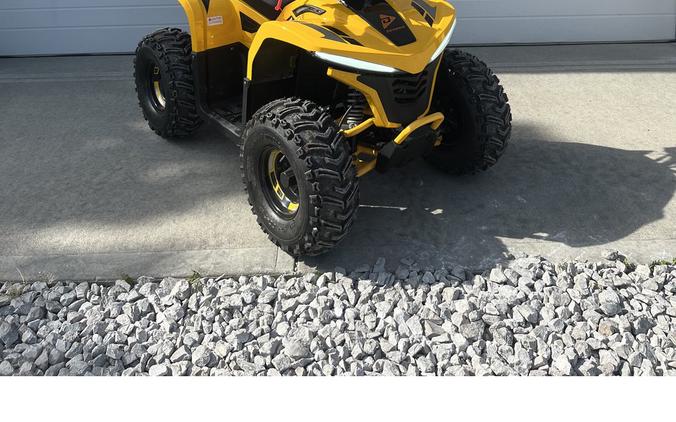 2026 E-Hawk 6 - Denago Powersports