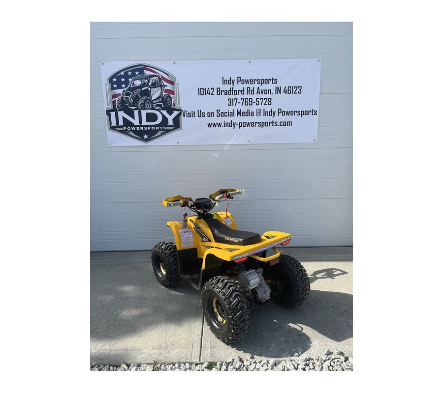 2026 E-Hawk 6 - Denago Powersports