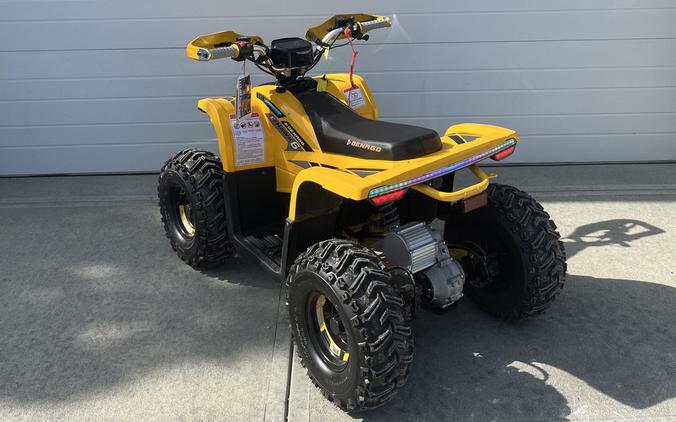 2026 E-Hawk 6 - Denago Powersports
