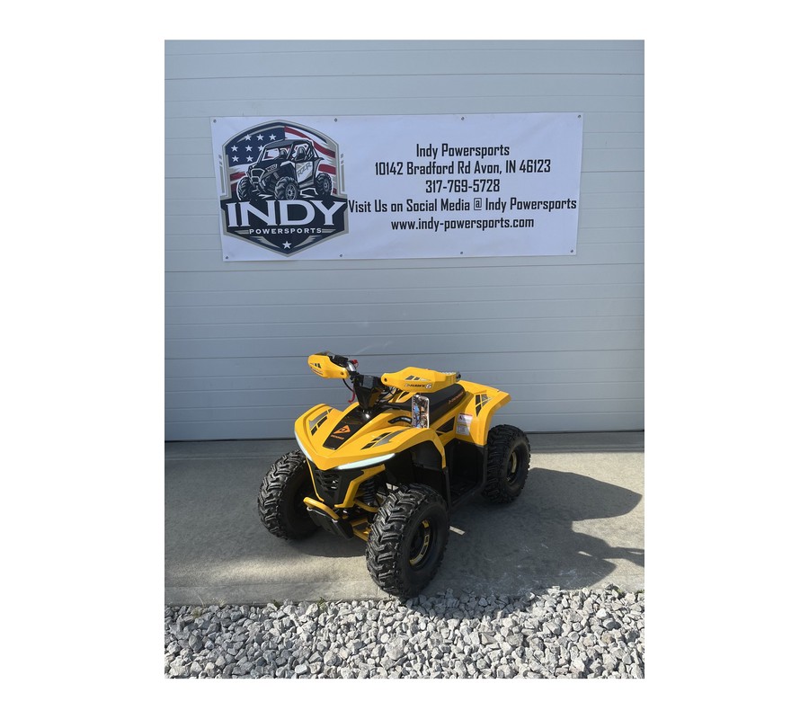 2026 E-Hawk 6 - Denago Powersports