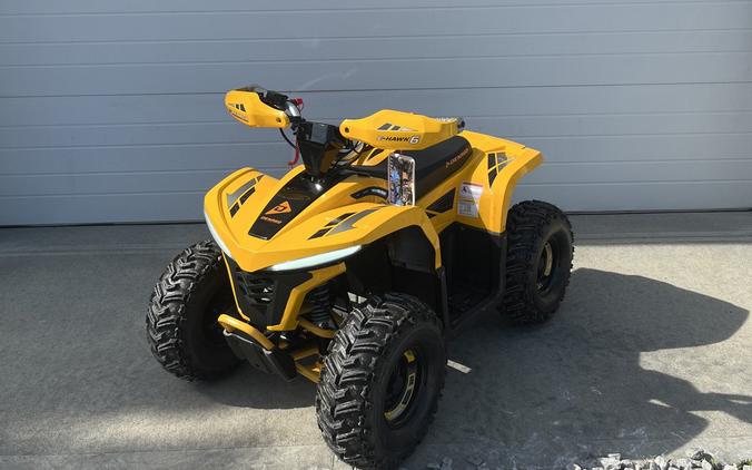 2026 E-Hawk 6 - Denago Powersports