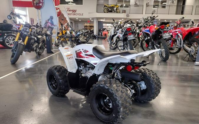 2019 Yamaha YFZ 50