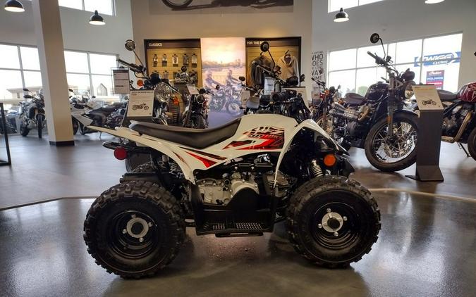 2019 Yamaha YFZ 50