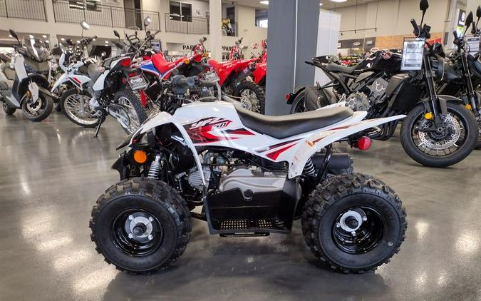 2019 Yamaha YFZ 50