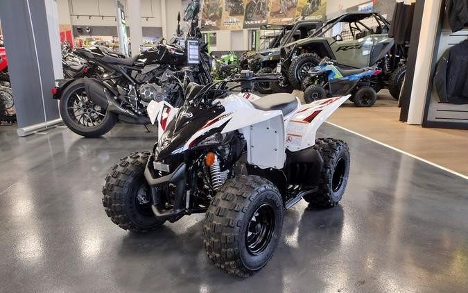 2019 Yamaha YFZ 50