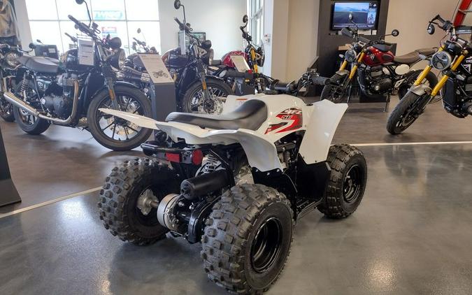 2019 Yamaha YFZ 50