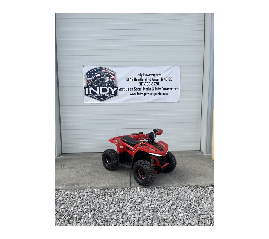 2026 E-Hawk 6 - Denago Powersports