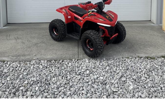 2026 E-Hawk 6 - Denago Powersports