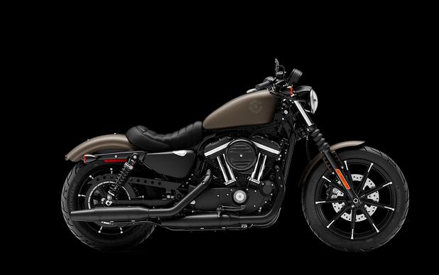 2021 Harley-Davidson Iron 883 River Rock Gray Denim