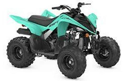 2025 Yamaha Raptor 110