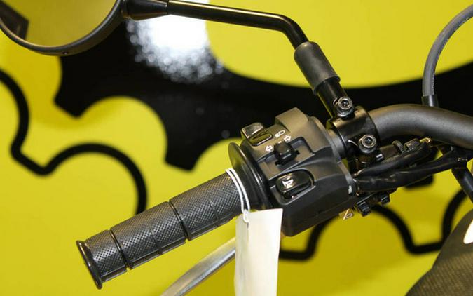 2025 Kawasaki KLX300SM 300SM KLX300GSFNL