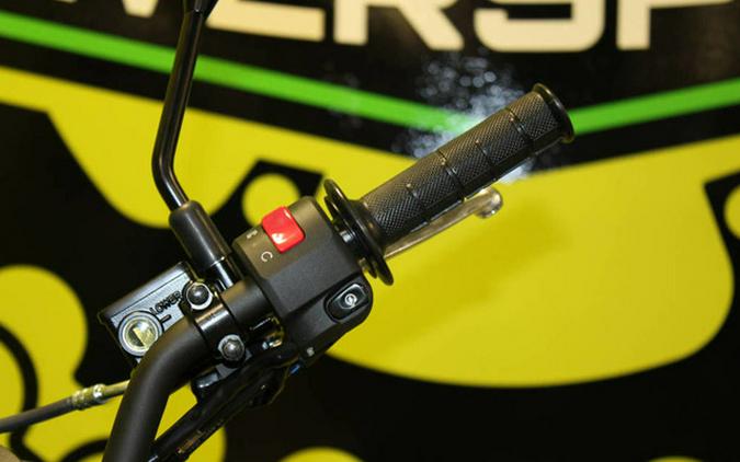 2025 Kawasaki KLX300SM 300SM KLX300GSFNL