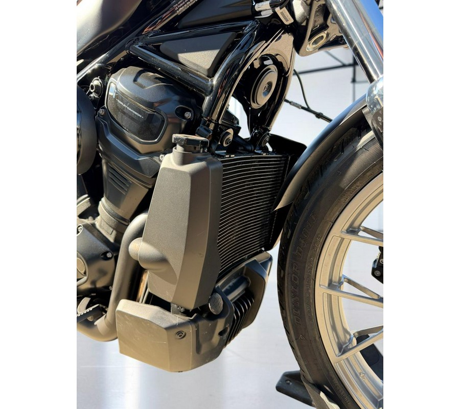 2025 Harley-Davidson Nightster Special