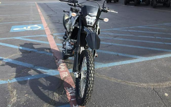 2026 KAWASAKI KLX300