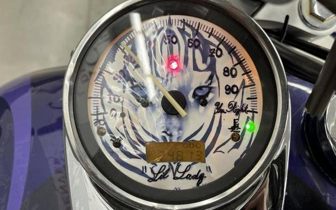 2003 Honda® VT750DC