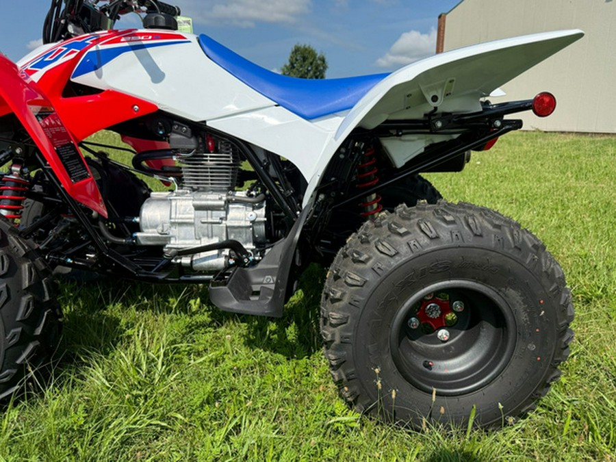 2026 Honda TRX 250X