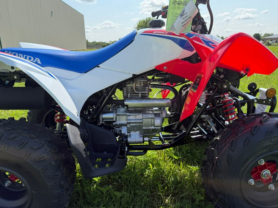 2026 Honda TRX 250X