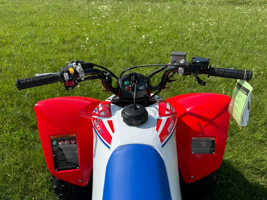 2026 Honda TRX 250X