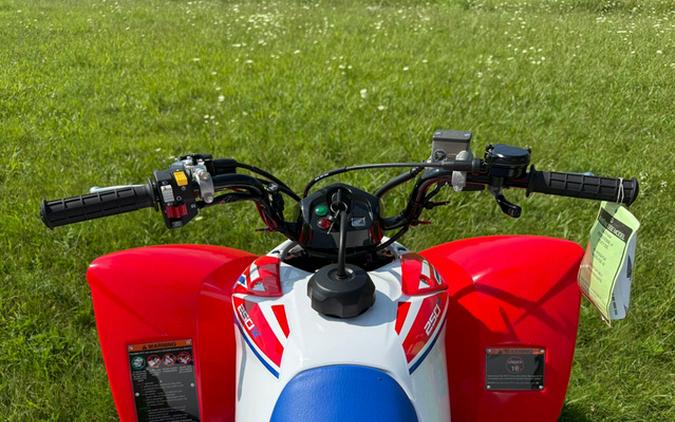 2026 Honda TRX 250X