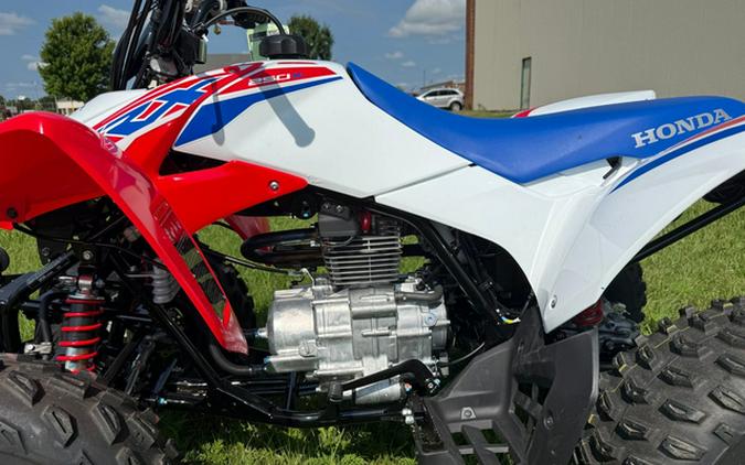 2026 Honda TRX 250X
