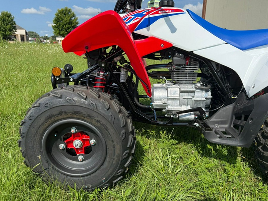 2026 Honda TRX 250X