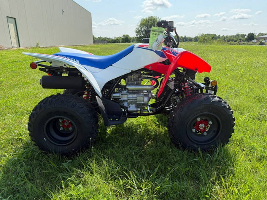 2026 Honda TRX 250X