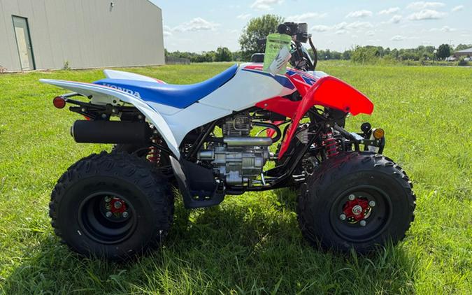 2026 Honda TRX 250X