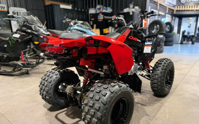 2026 Can-Am DS 250