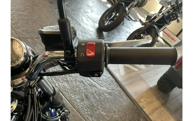 2025 Kawasaki W 230 ABS