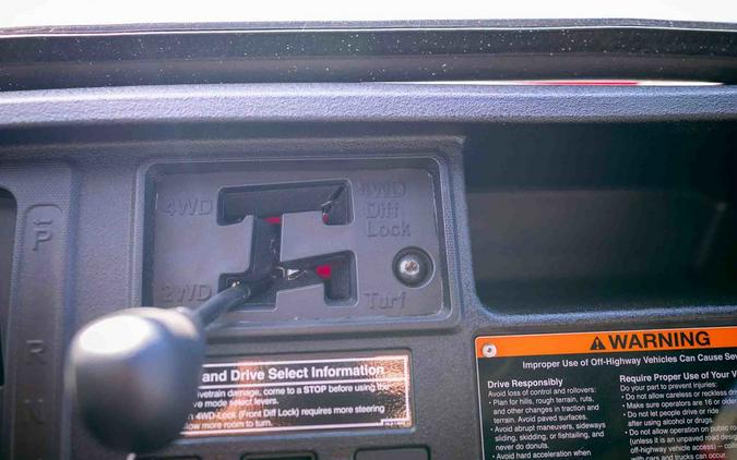 2025 Honda® Pioneer 1000-5