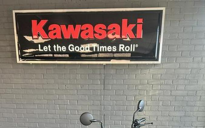 2025 Kawasaki Eliminator®