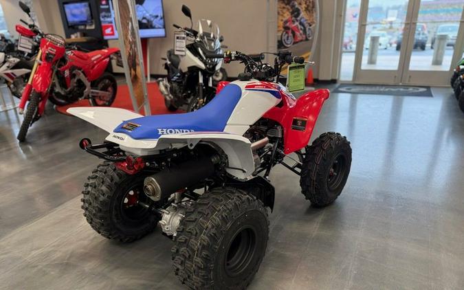 2026 Honda TRX® 250X