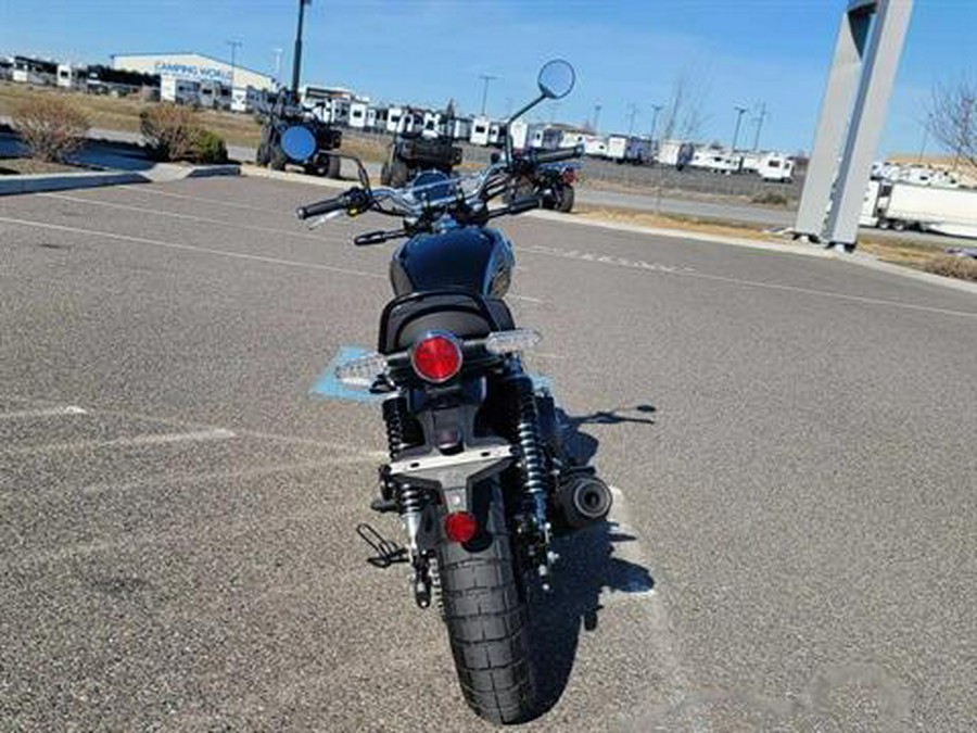 2025 Royal Enfield Bear 650